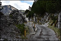 DSC_8805.JPG