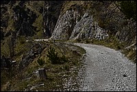 DSC_8818.JPG