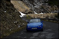 DSC_8841.JPG