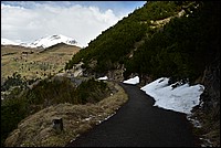 DSC_8844.JPG