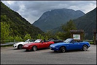 DSC_8954.JPG