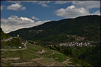 DSC_9052.JPG
