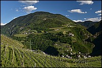 DSC_9092.JPG