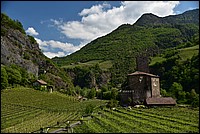 DSC_9188.JPG