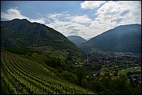 DSC_9190.JPG