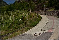 DSC_9191.JPG