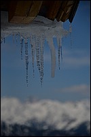 DSC_9246.JPG